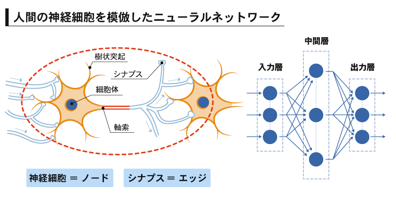 人間の神経細胞を模倣したニューラルネットワーク